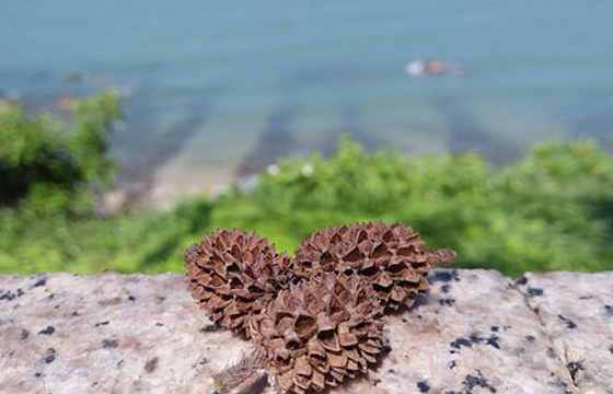 &#19975;&#35937;&#22478;&#22312;&#32447;&#45;&#19975;&#35937;&#22478;&#22312;&#32447;&#40;&#20013;&#22269;&#41;